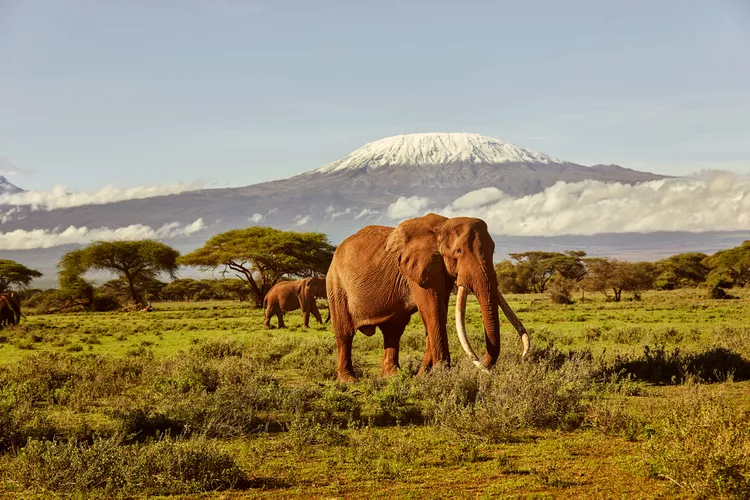 Amboseli